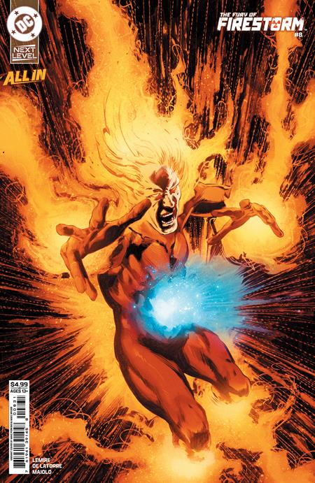 FURY OF FIRESTORM #8 (OF 9) CVR C MIKE PERKINS CARD STOCK VAR *PRE ORDER*